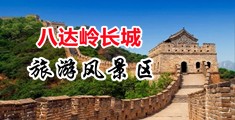 www.jibaav中国北京-八达岭长城旅游风景区